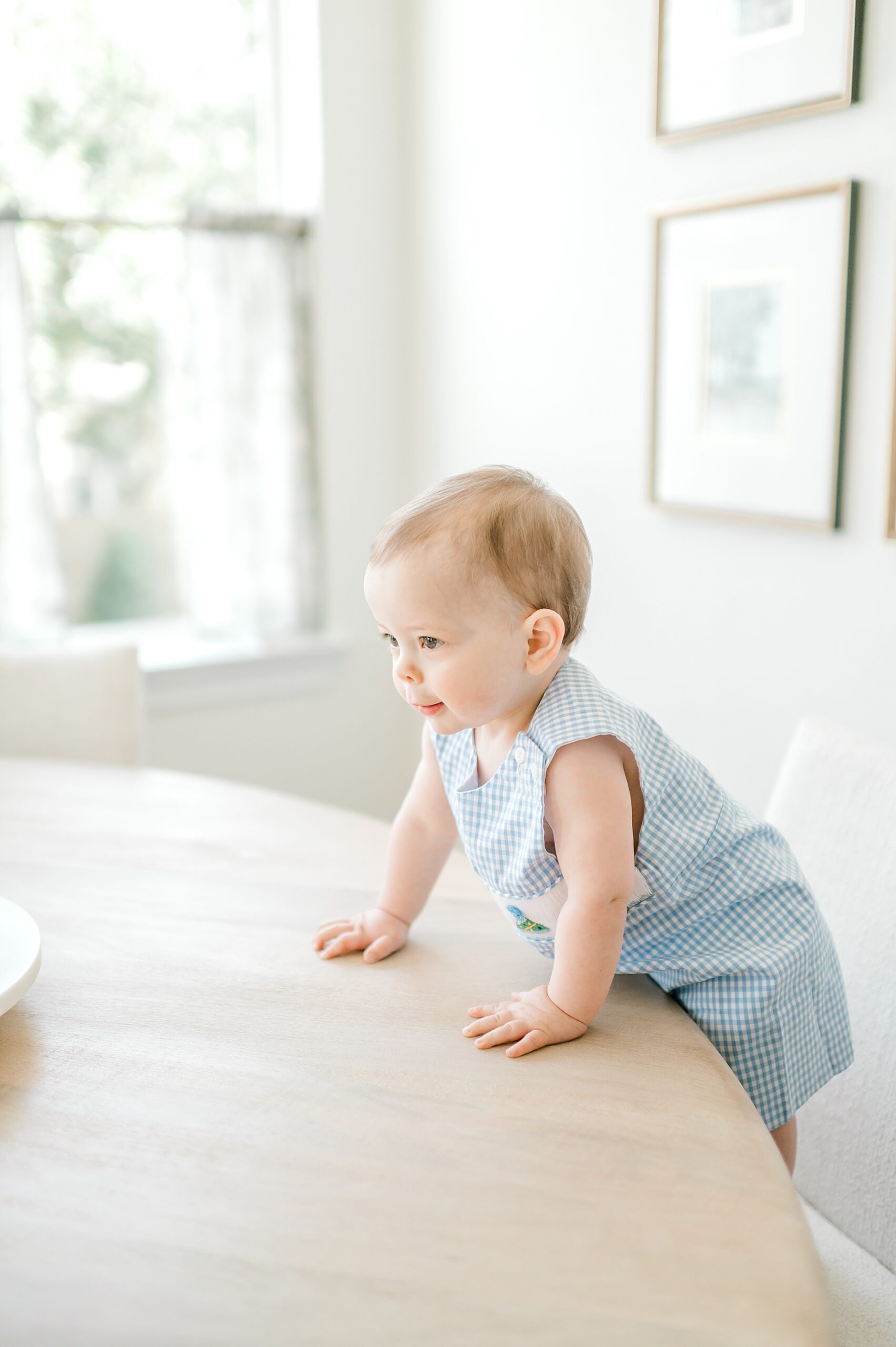 curious one-year old during Milestone Session