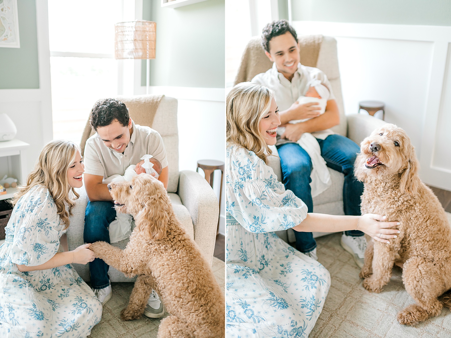 parents hold newborn with family dogs nearby