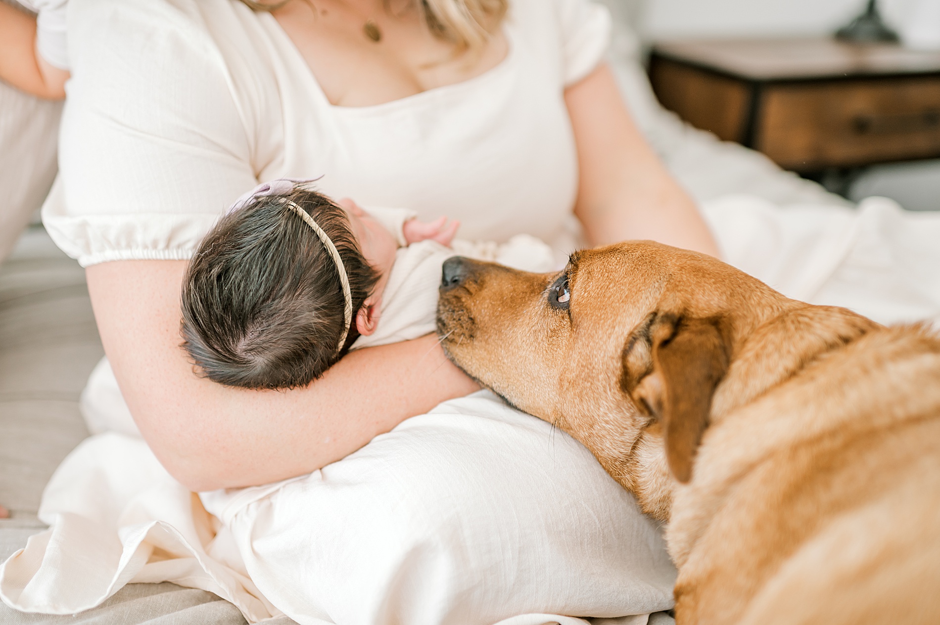 newborn in mom's arms as dog is nearby 