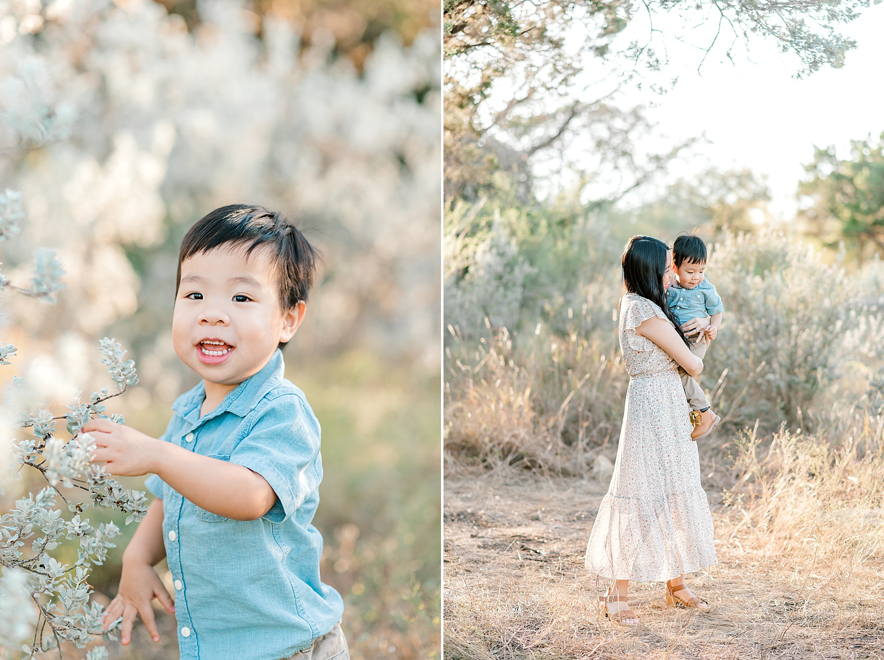 little boy picks flowers