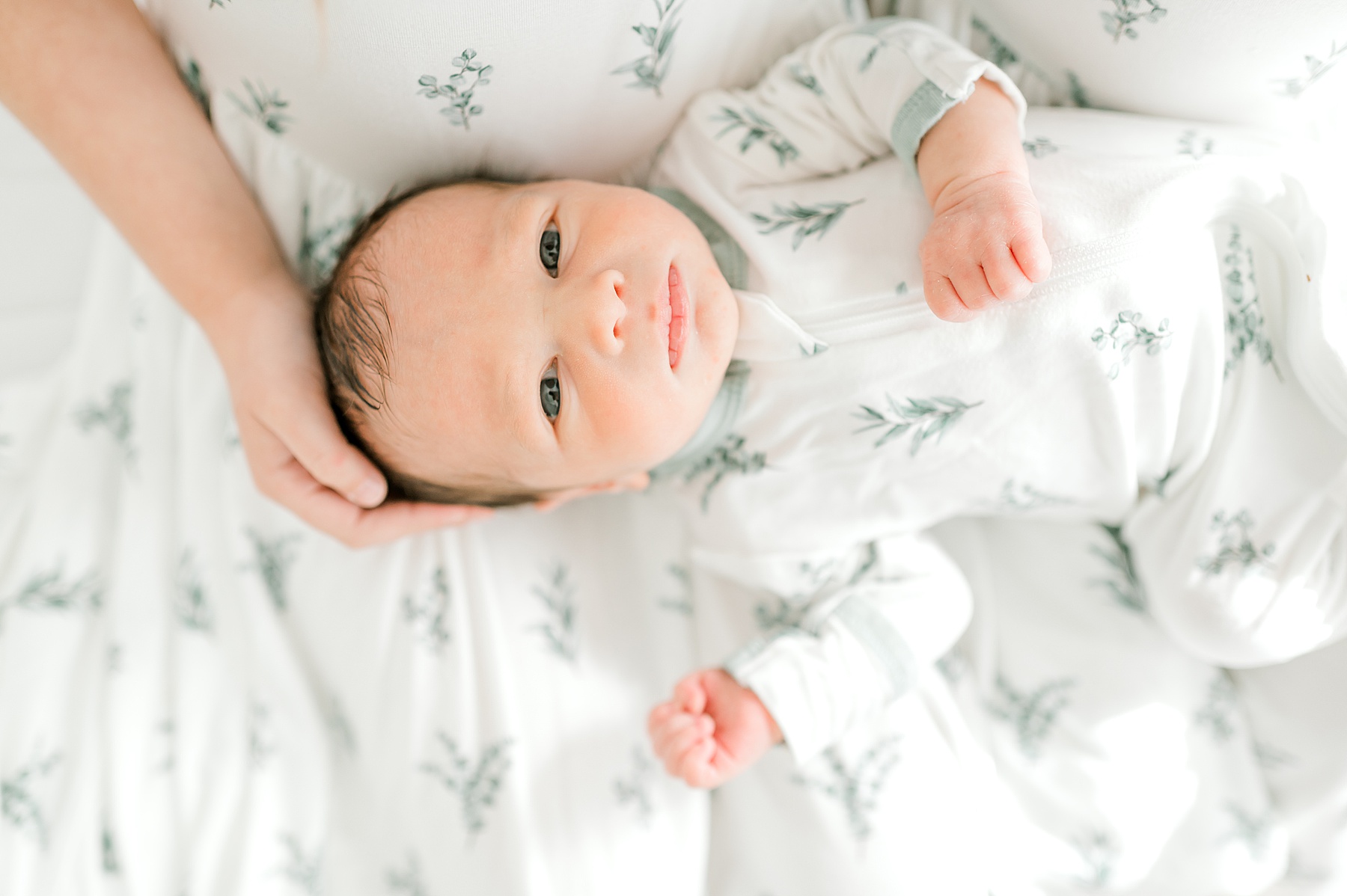 December Studio Newborn Session