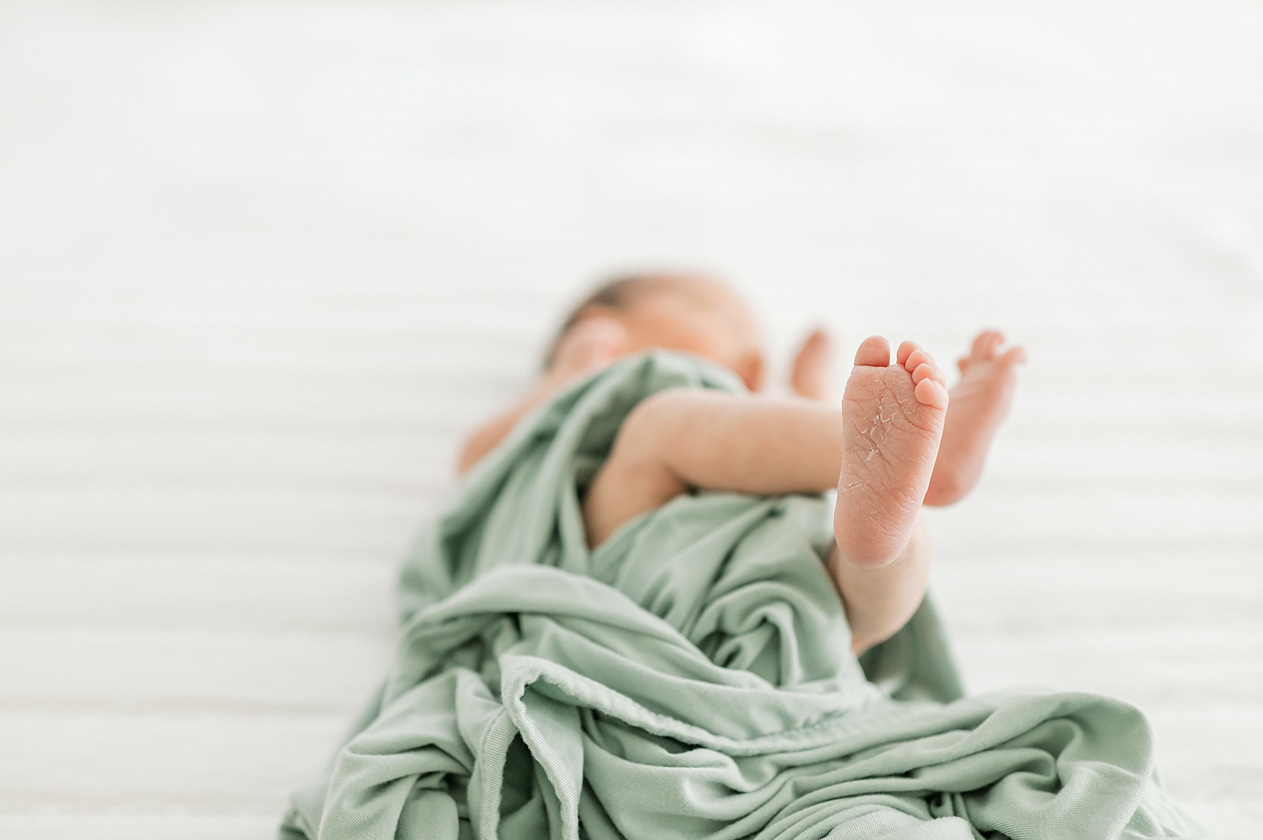 newborn boy's tiny toes and feet from December Studio Newborn Session