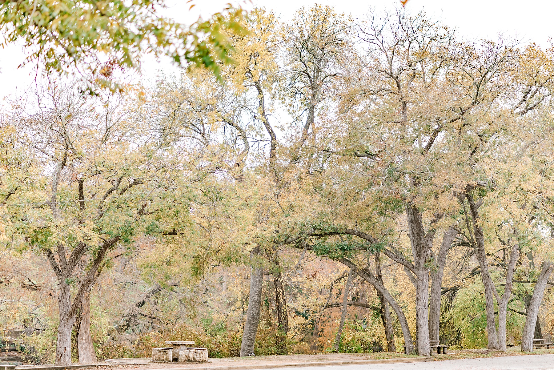 Max Starcke Park in Seguin, TX