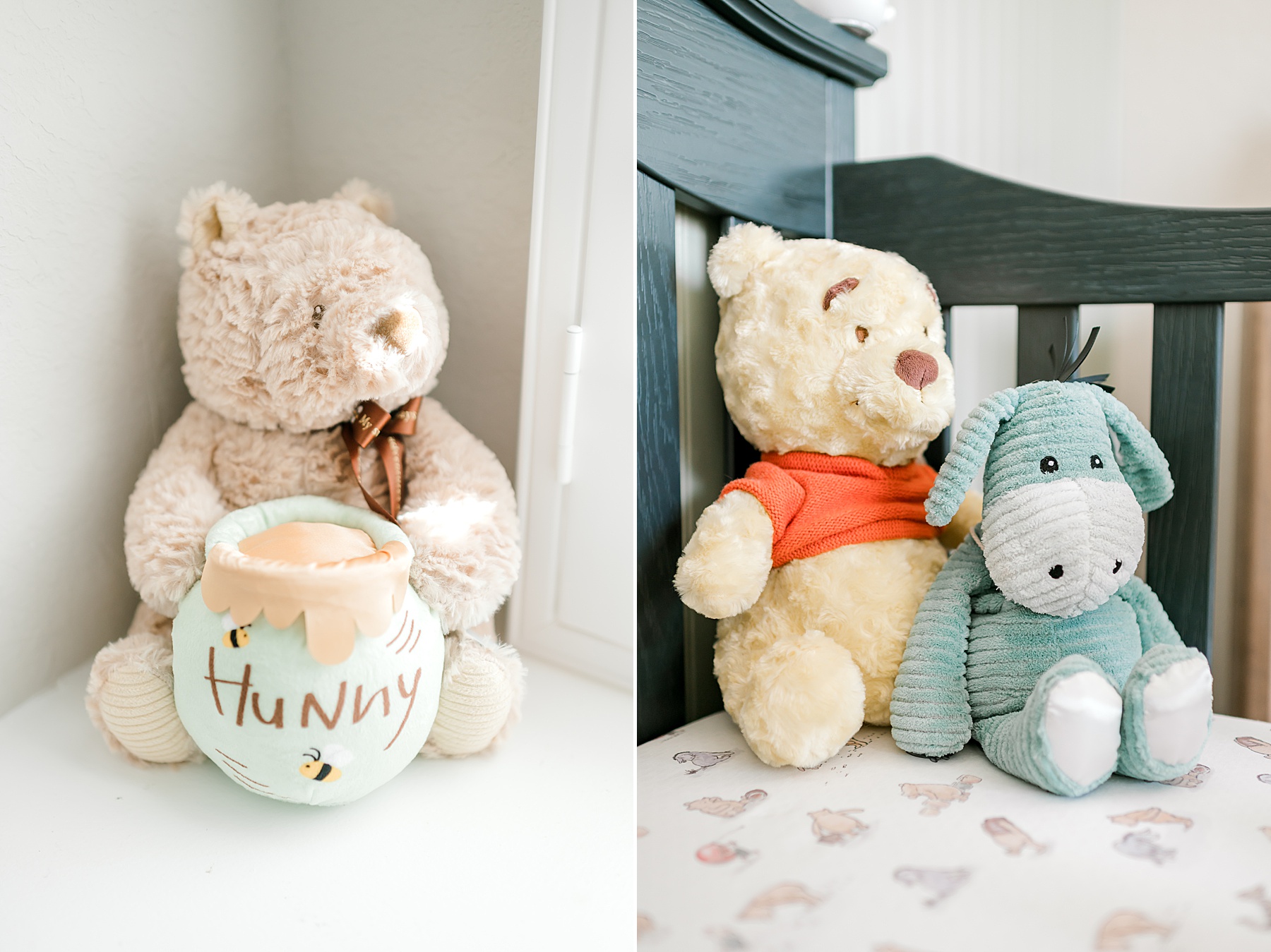 winnie the pooh stuffed animals from nursery during in-home session