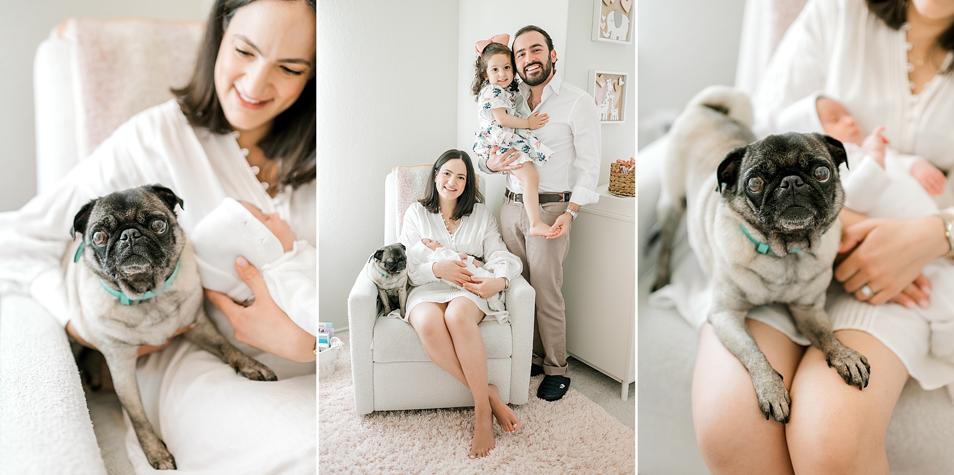 mom holds newborn with small dog sitting next to them