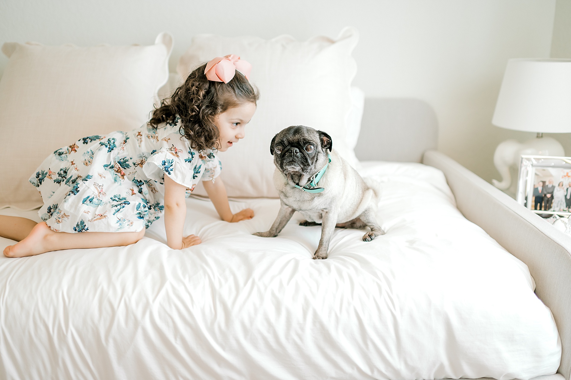 little girl with dog during in-home lifestyle session