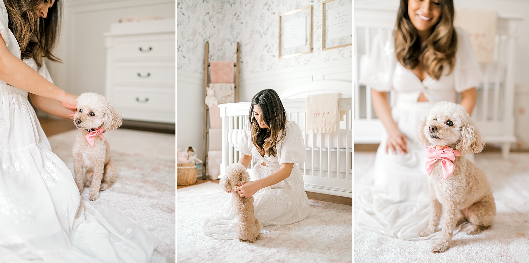 dogs get pink bows on for newborn girl session