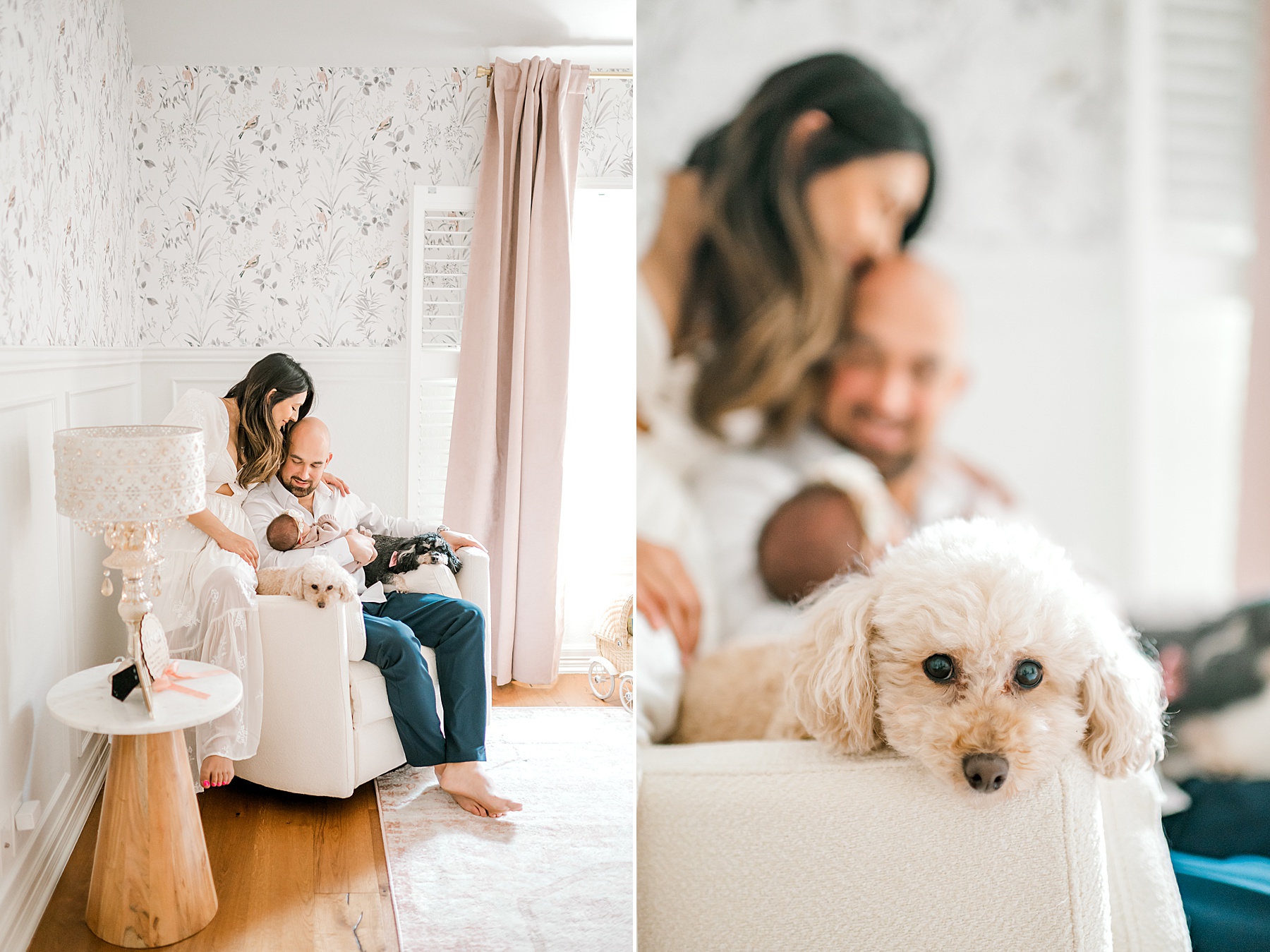 family dogs sit next to newborn and parents