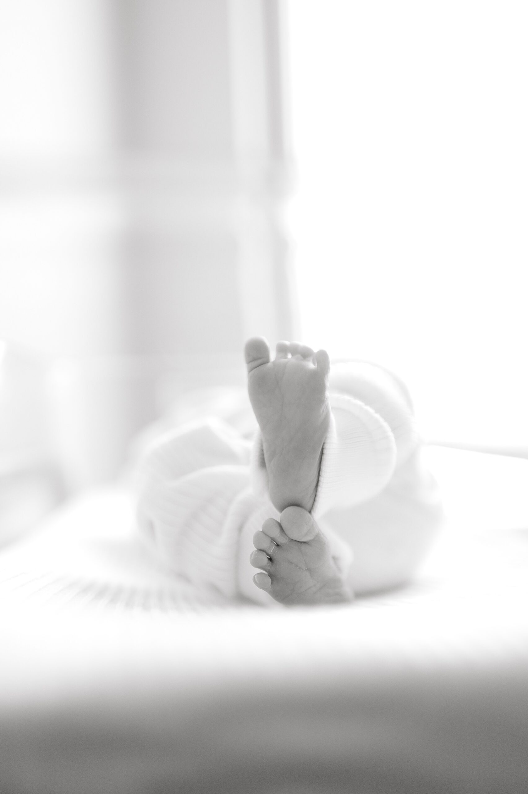 tiny feet and toes of newborn