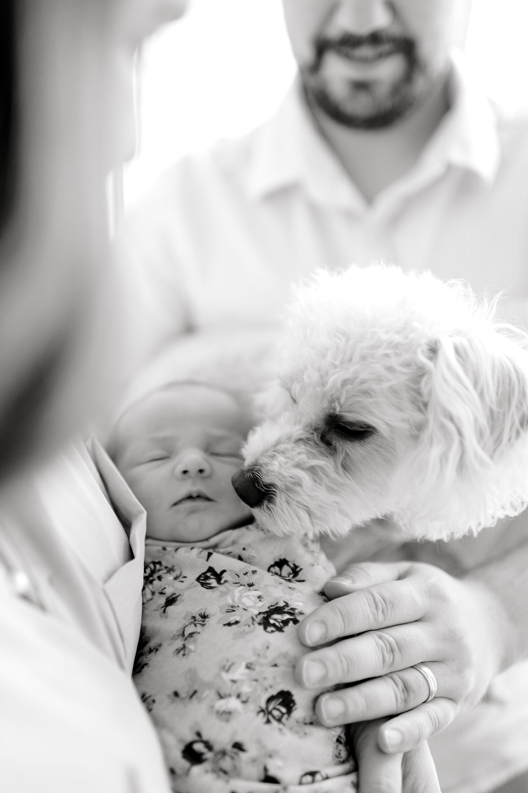 family dog looks over newborn girl