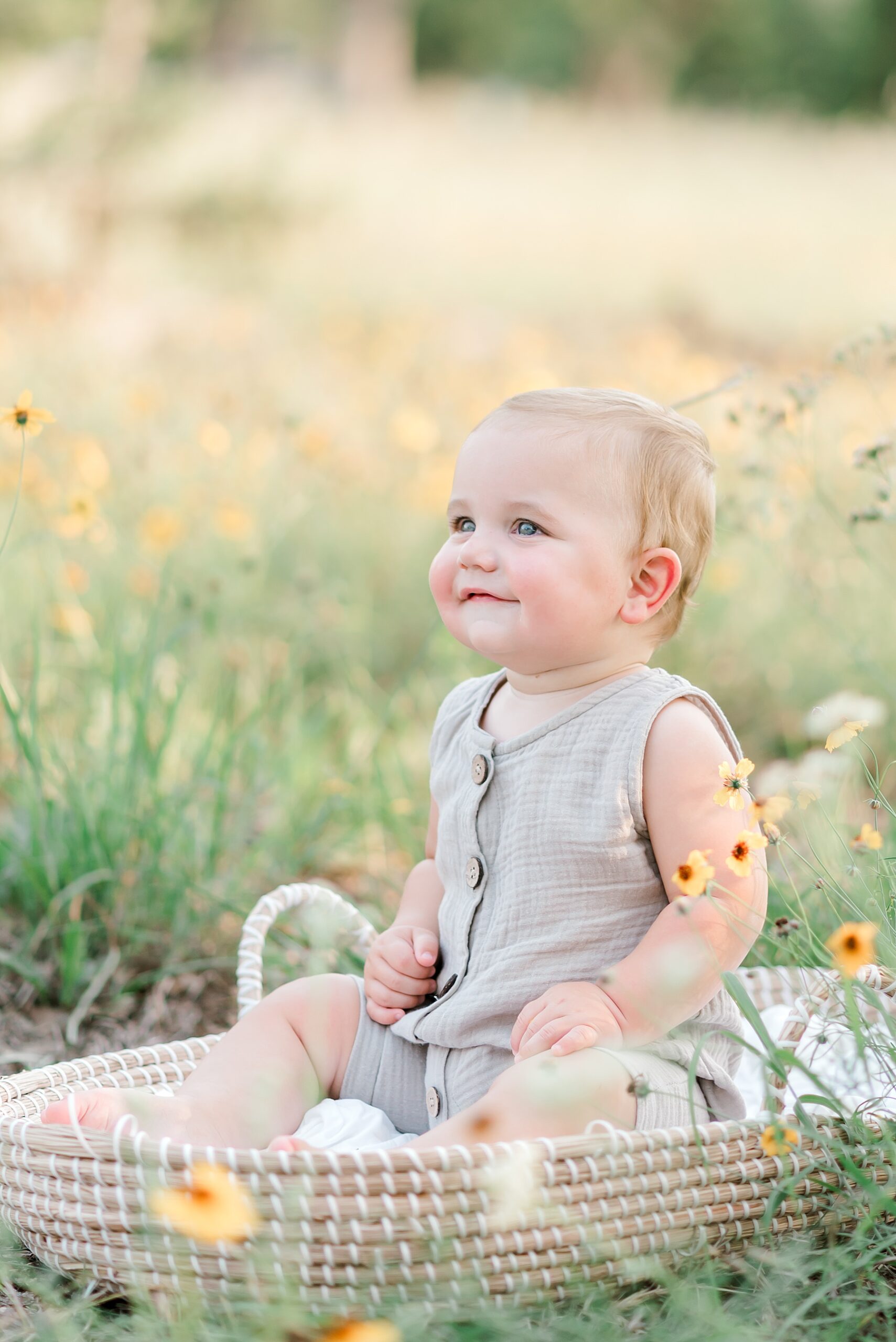6 month old sits in field of yellow flowers during Sitter Session in Bulverde, TX