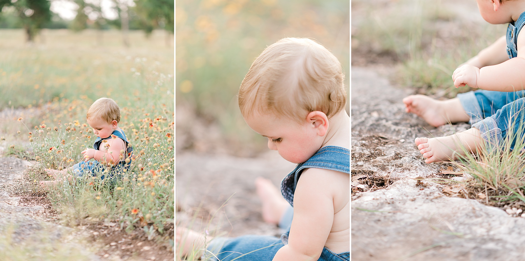 6-month milestone session in field at Bulverde, TX