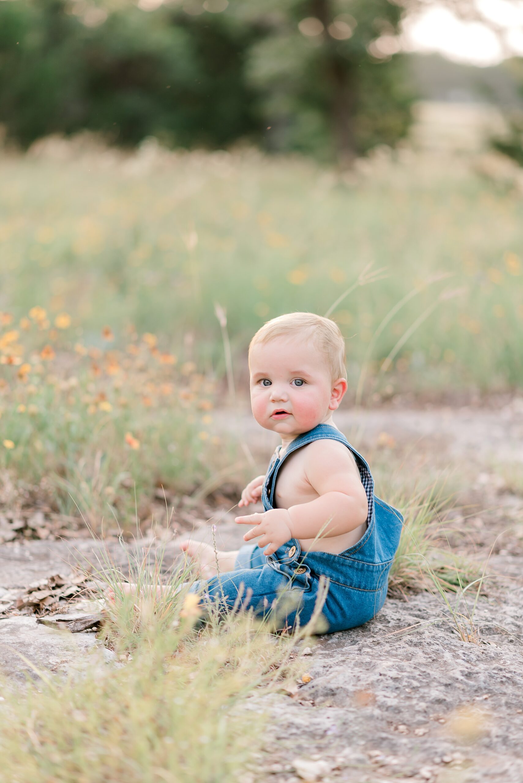 little boy sits independently in field during 6-month milestone session