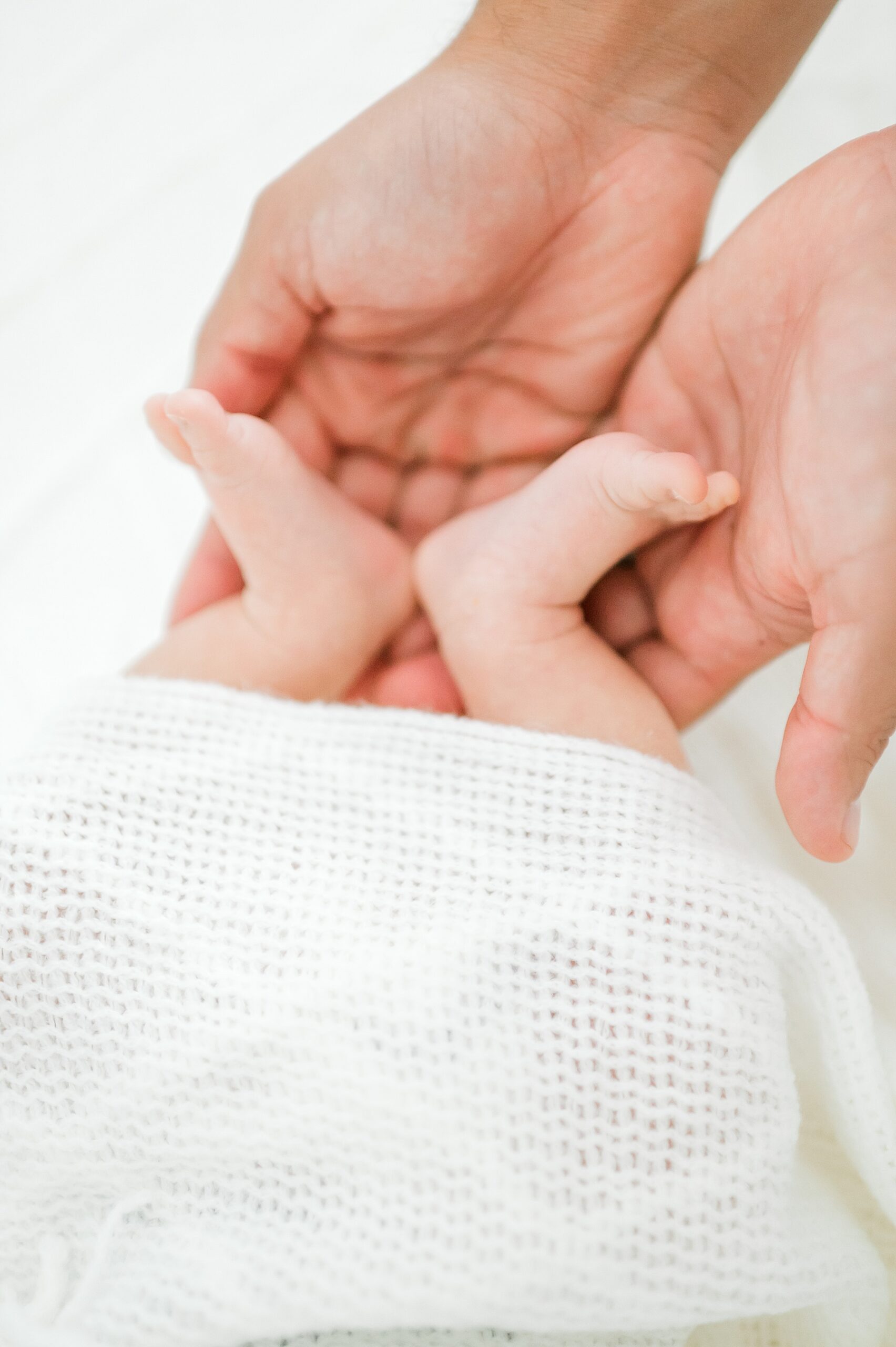 newborn's tiny features 