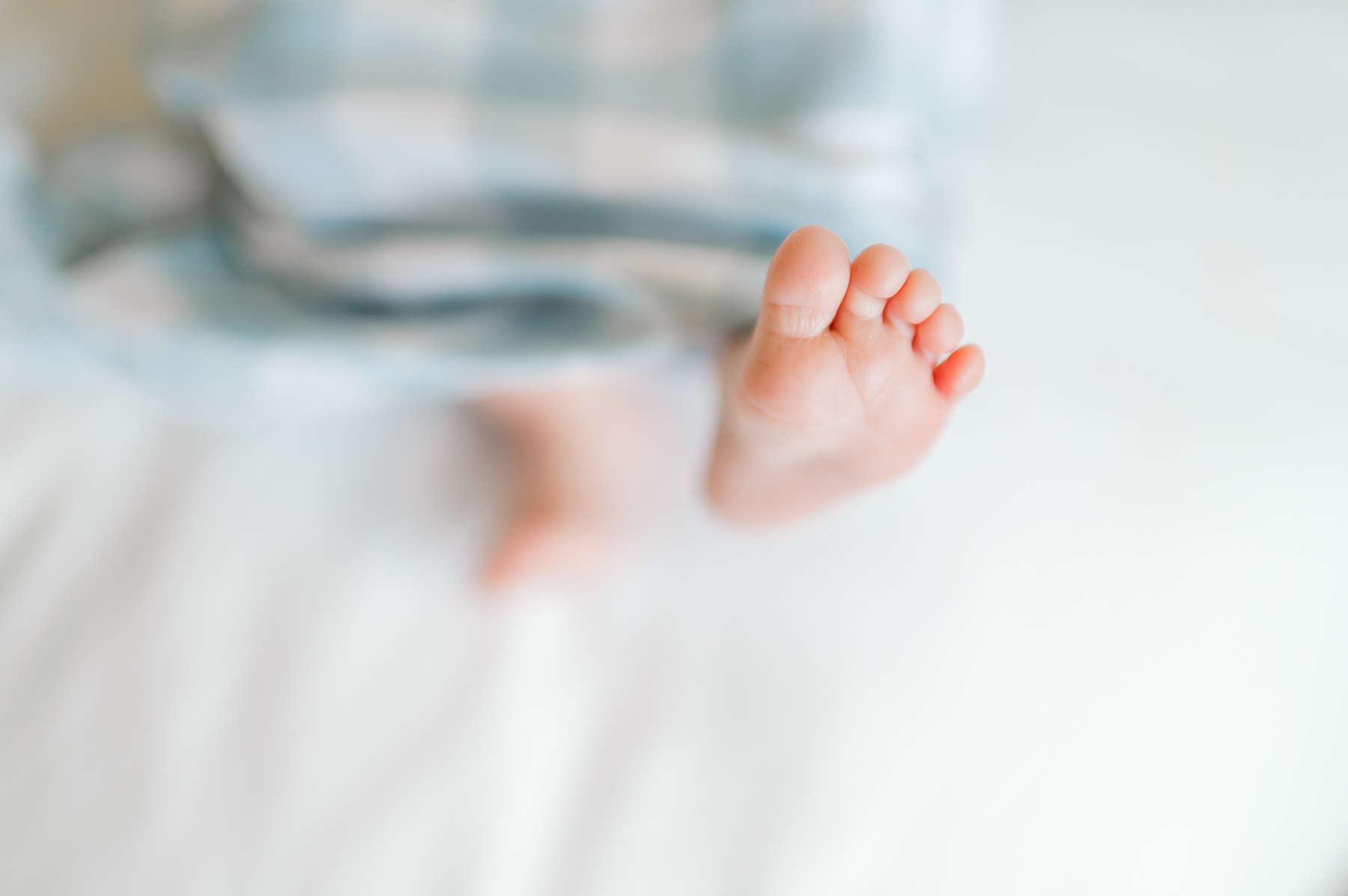tiny toes of newborn