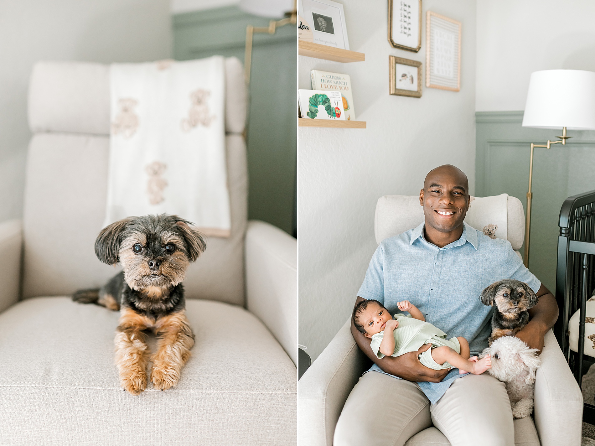 dad holds newborn boy with two dogs