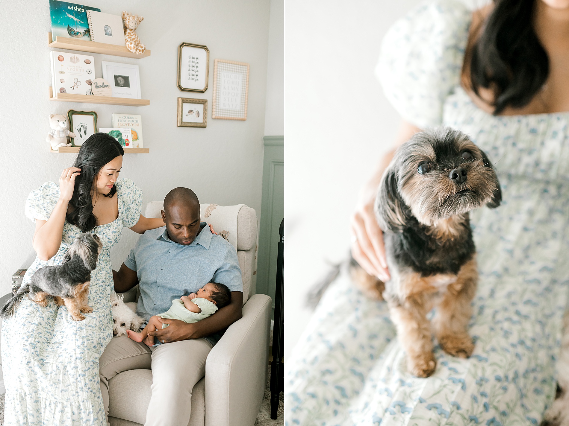 parents hold newborn and two dogs during in-home session