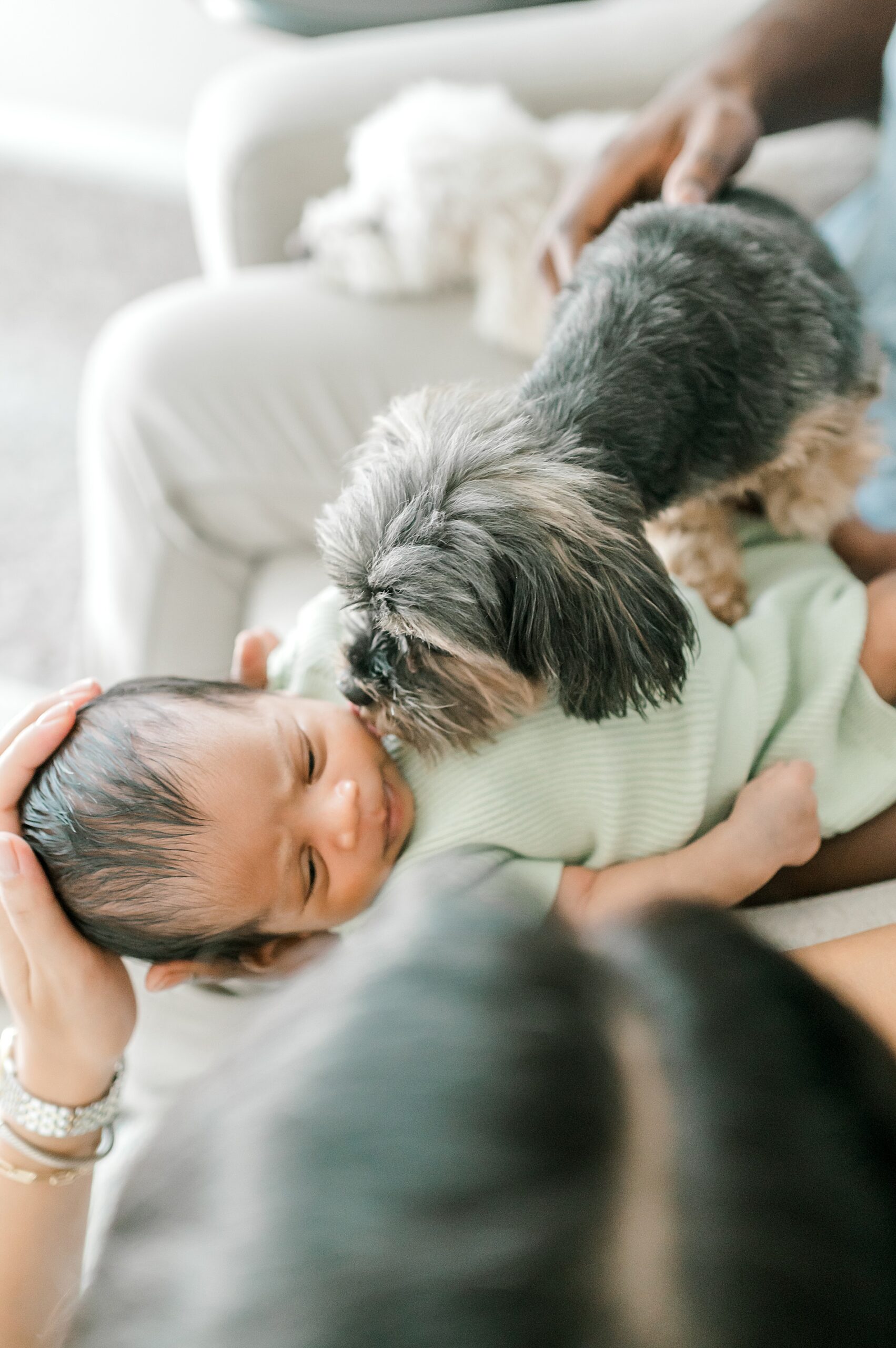 dog kisses newborn's cheek