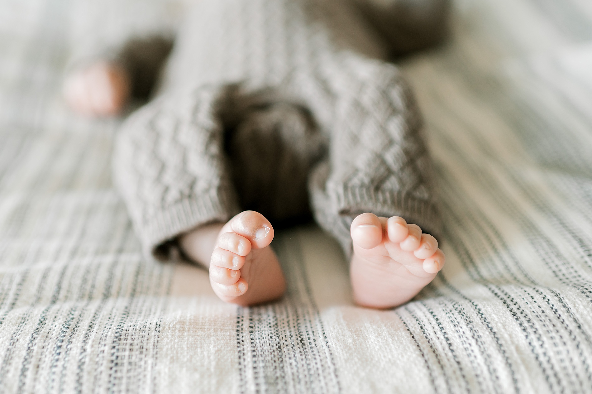 newborn toes and features 