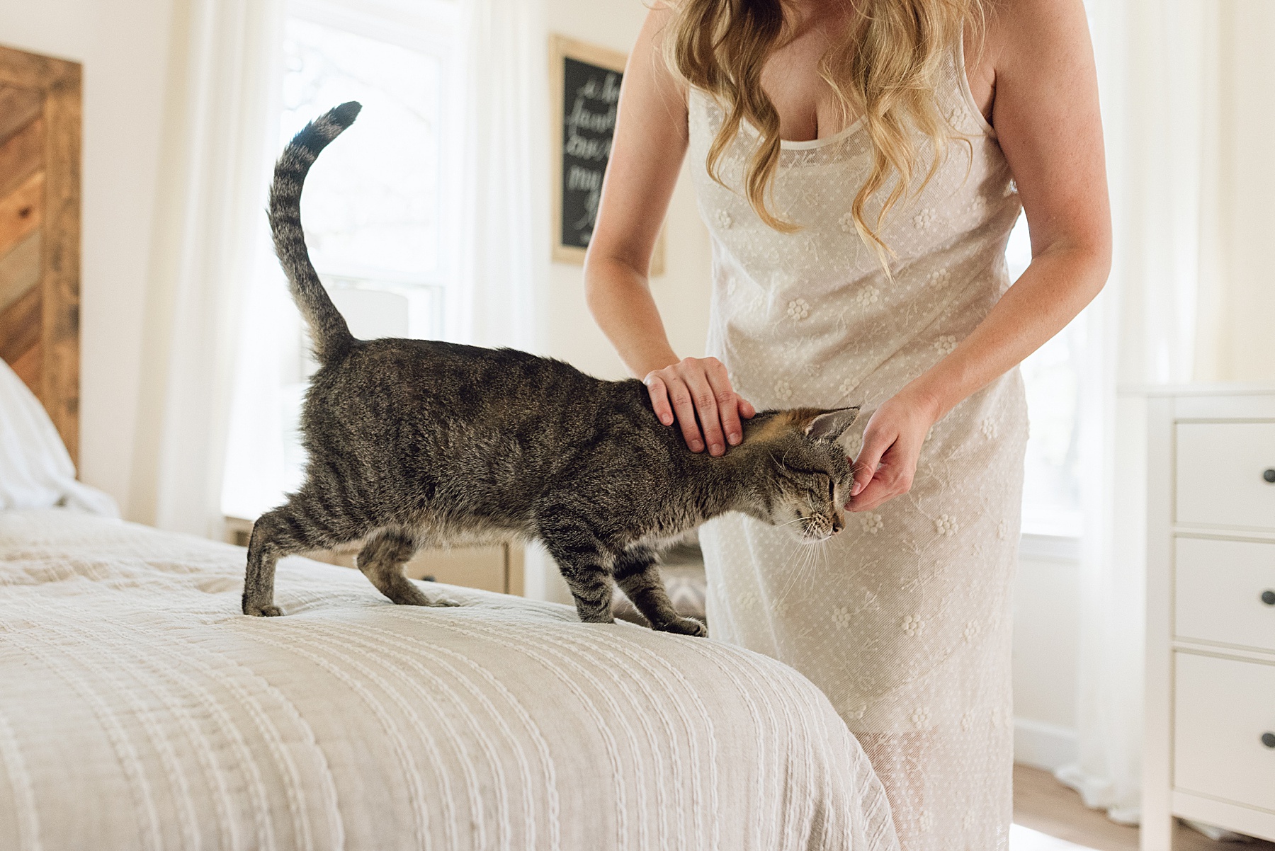 cat on bed during in-home session