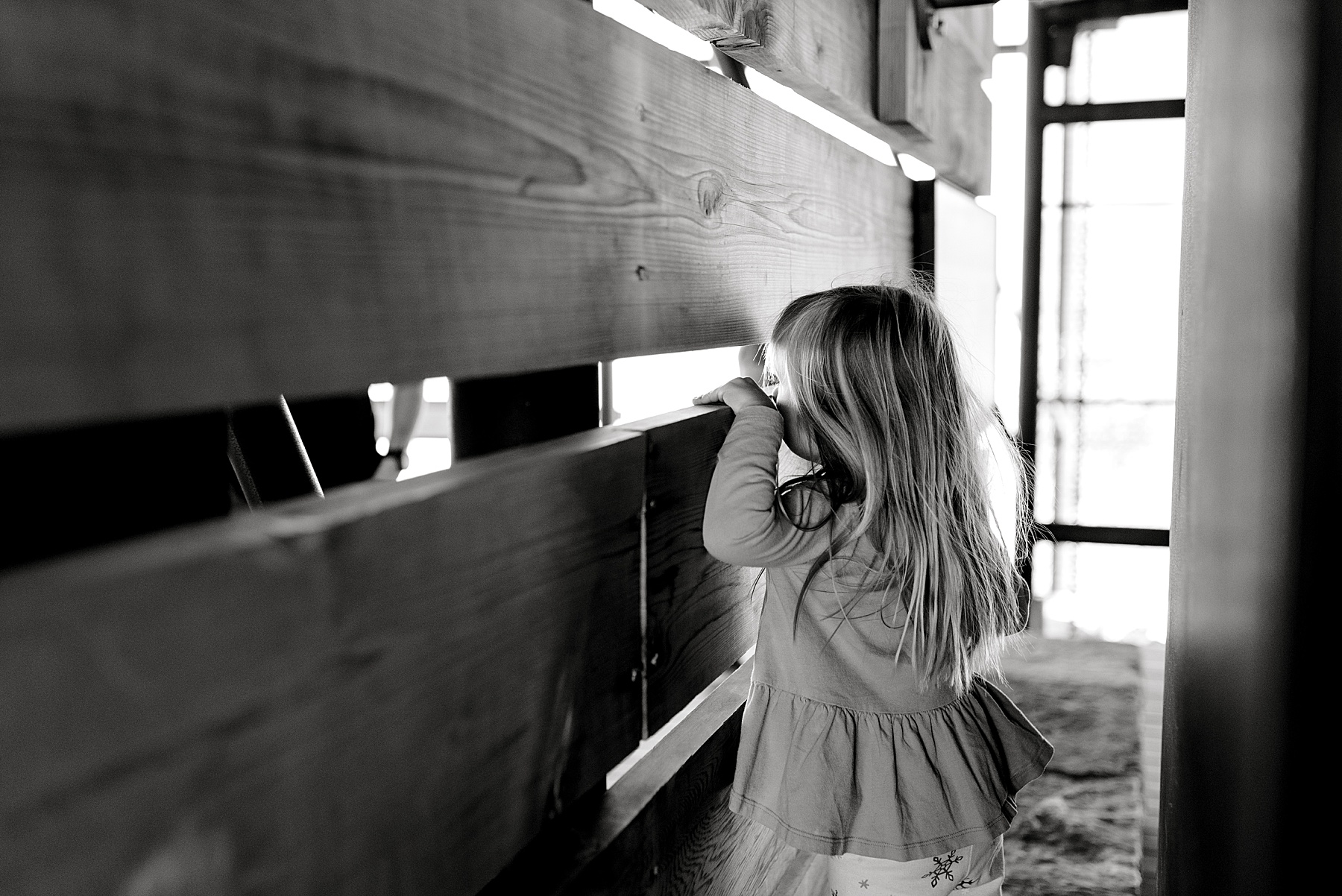 little girl peeking in at horse in stable