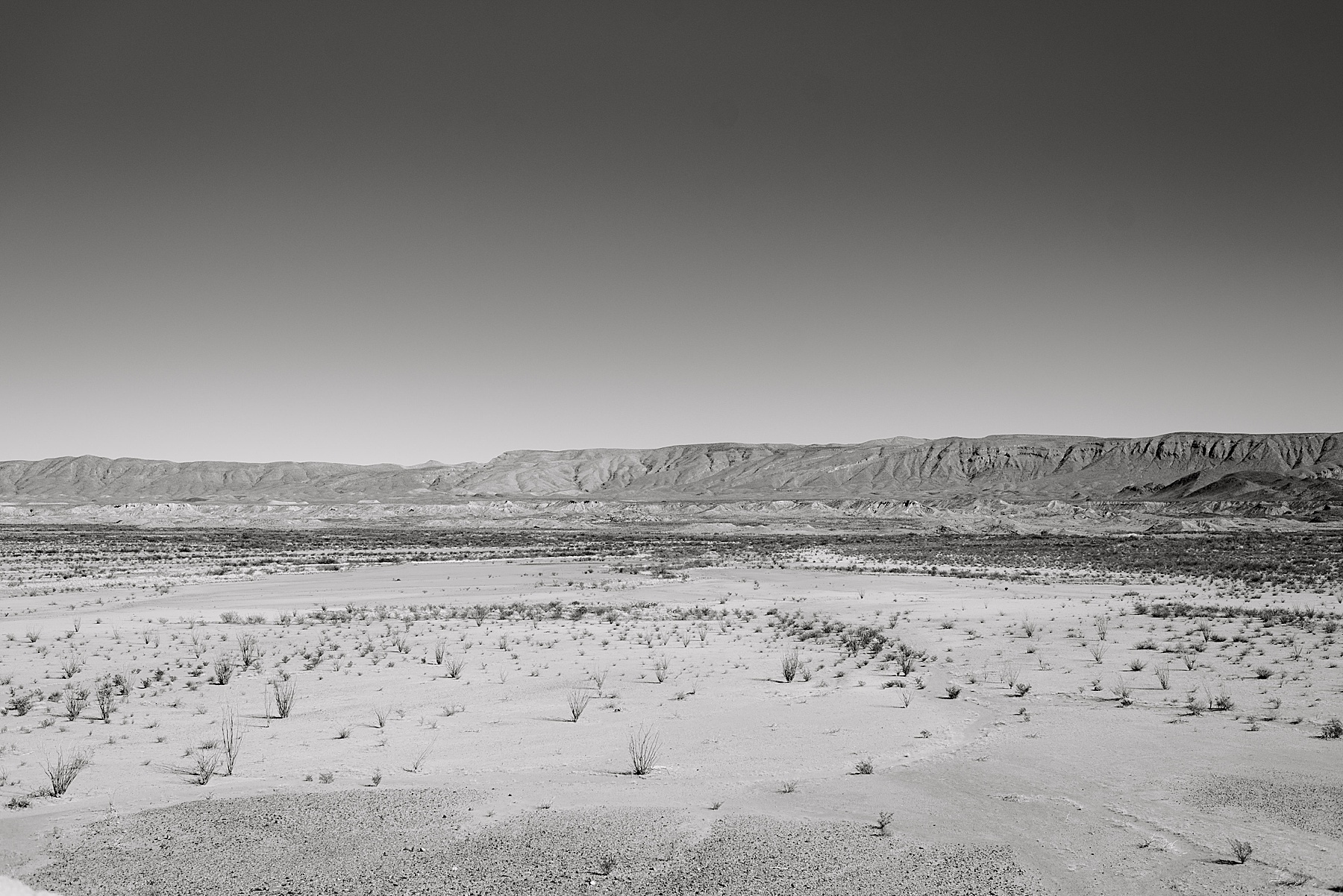 desert in Big Bend
