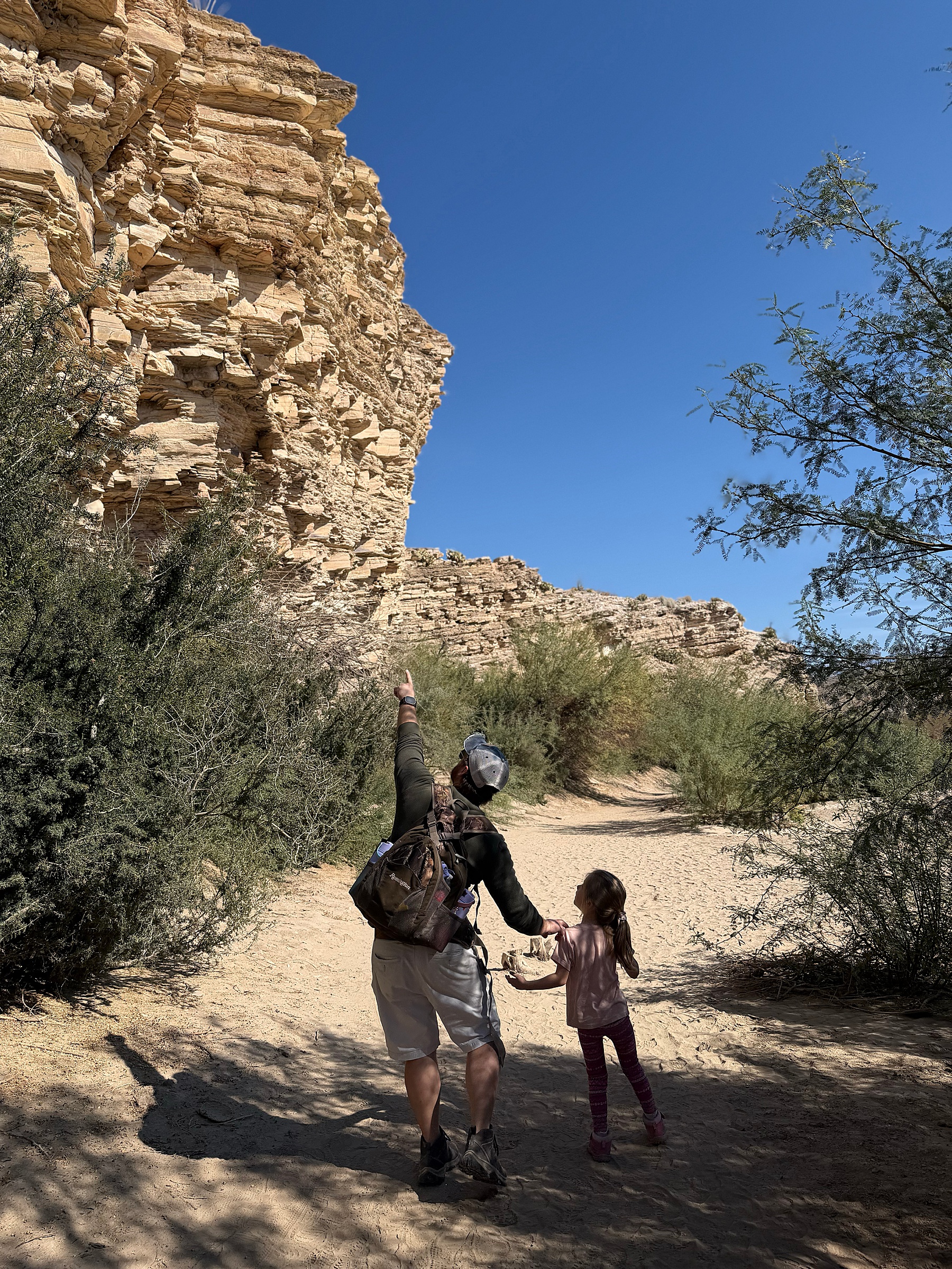 exploring the desert