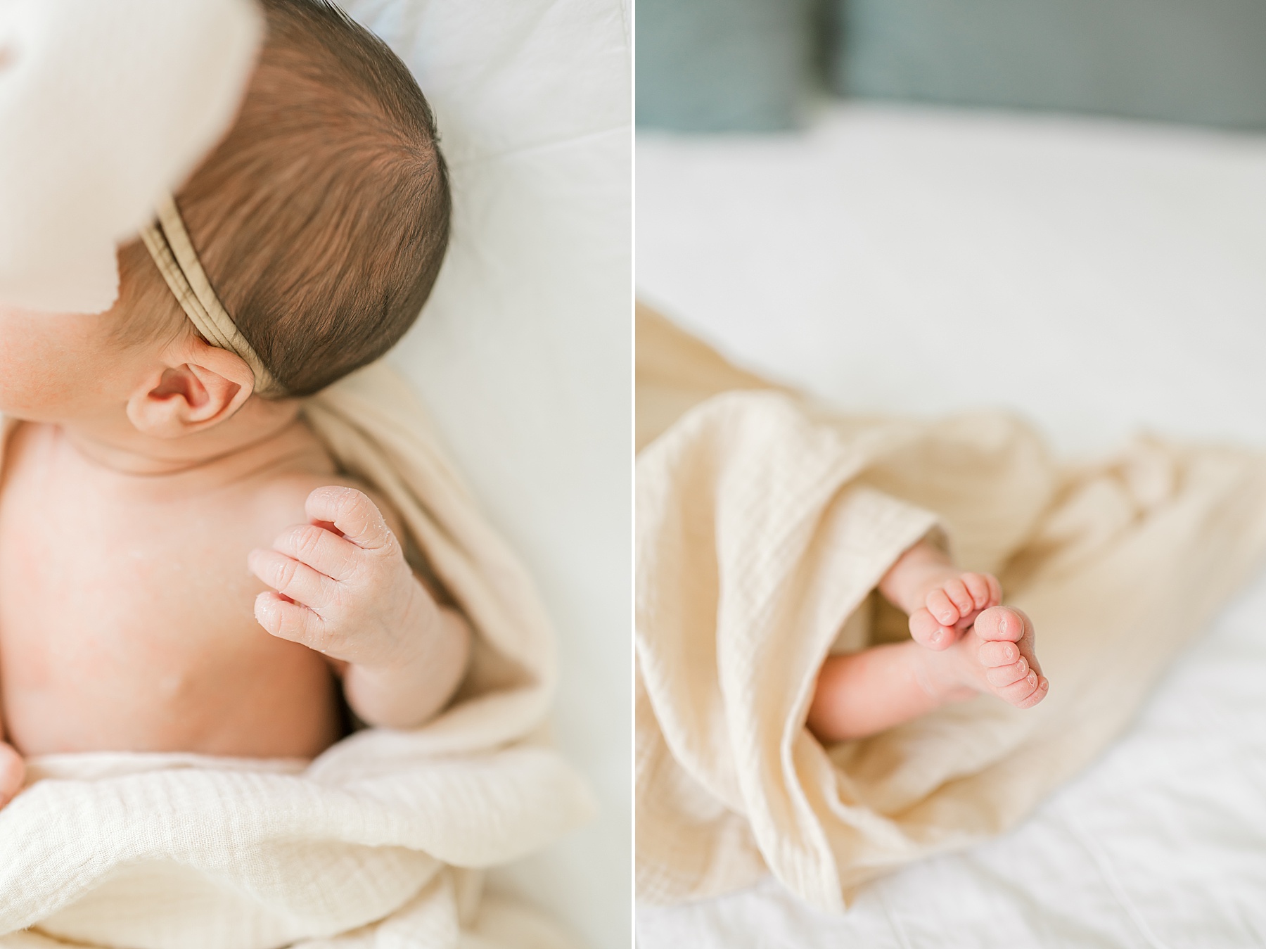 tiny newborn features