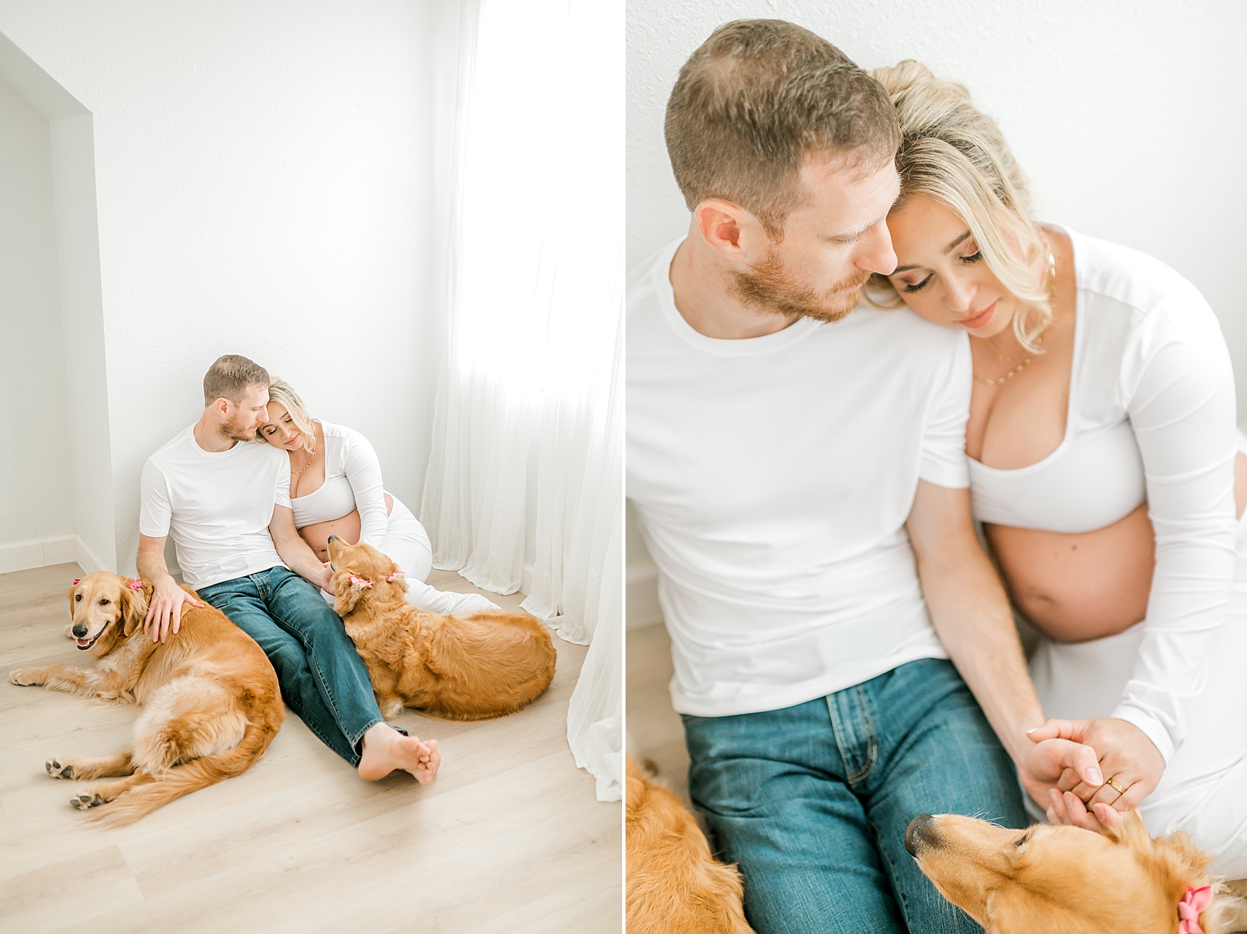 studio maternity session with couples' dogs 