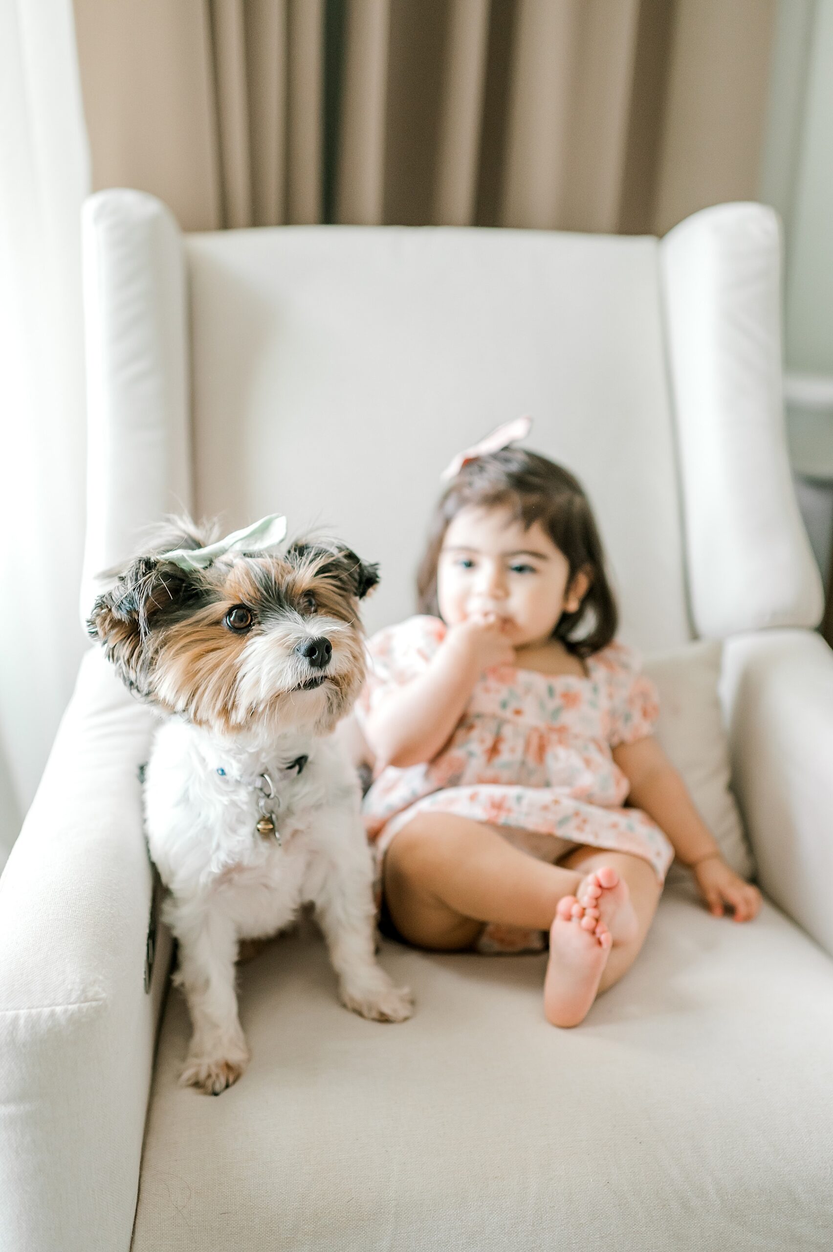 little girl sits with dog