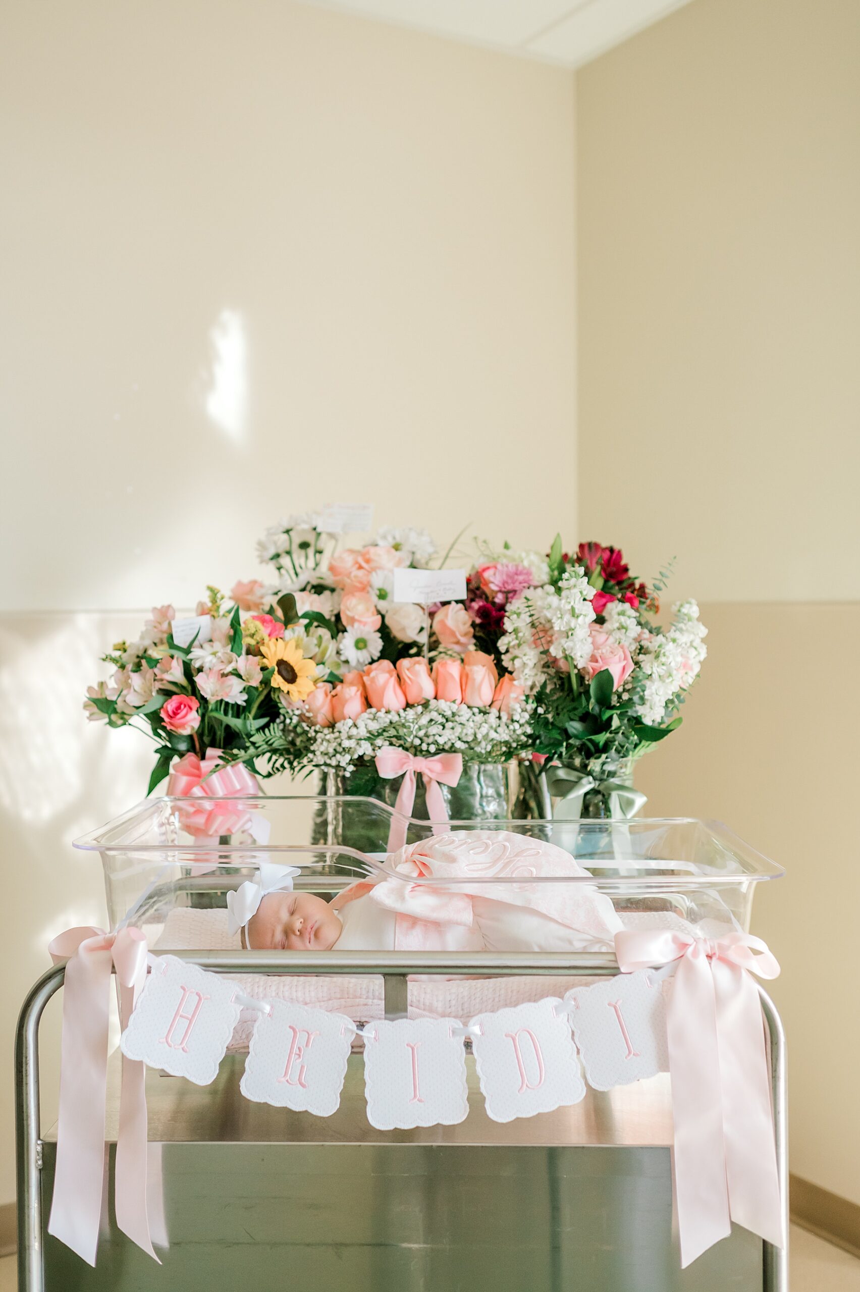 sweet fresh 48 session of baby girl