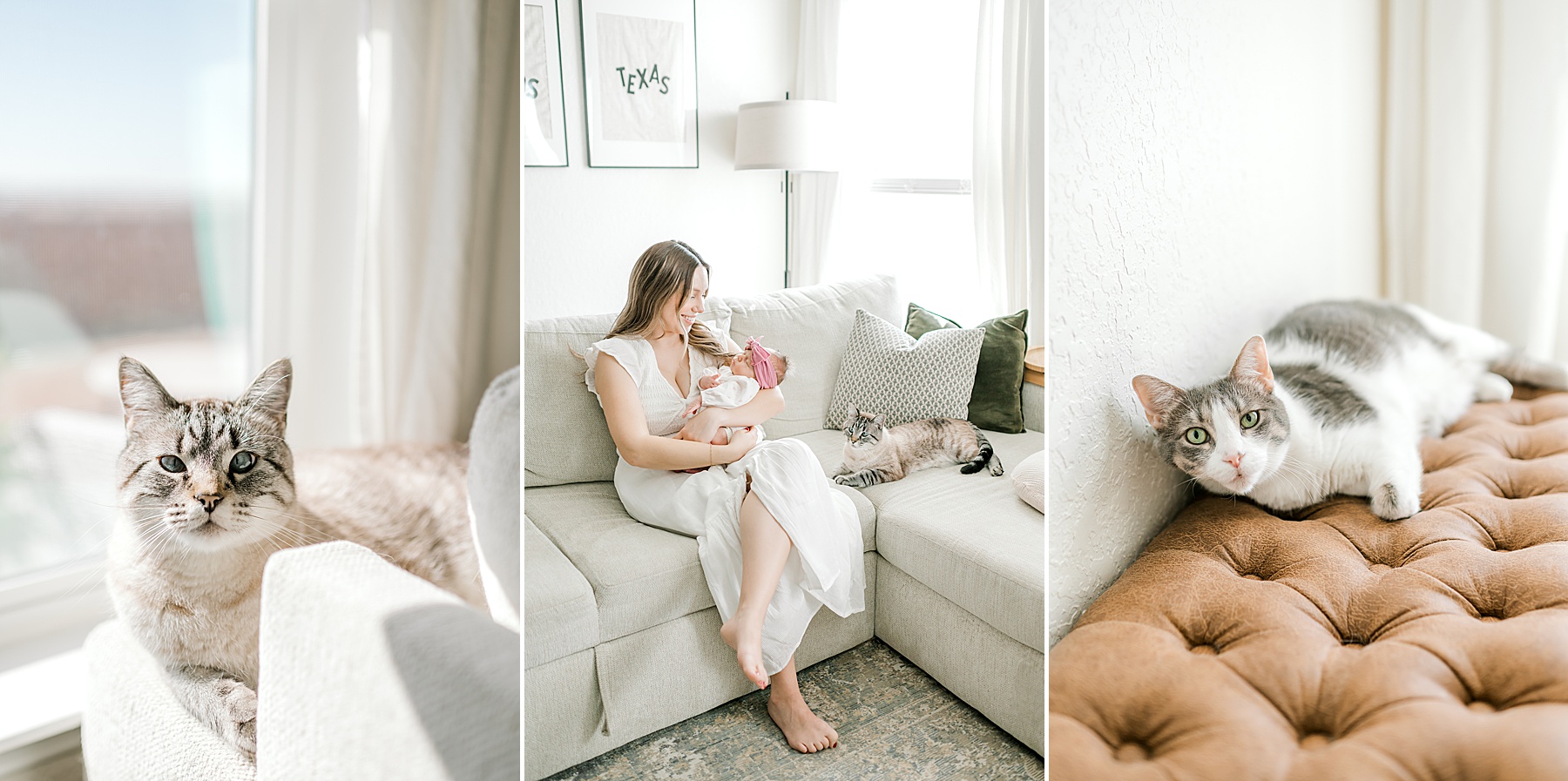 mom with baby on couch while family cat lays nearby